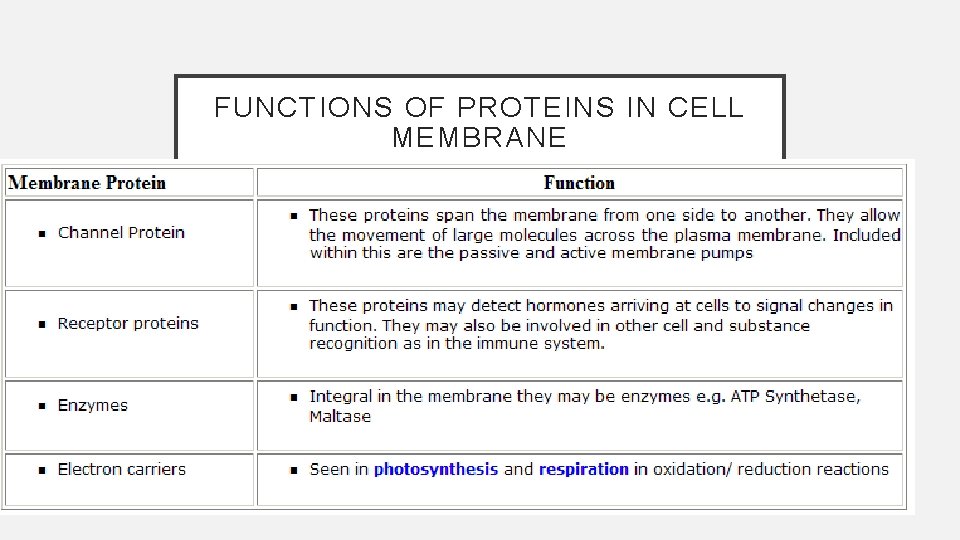 FUNCTIONS OF PROTEINS IN CELL MEMBRANE 