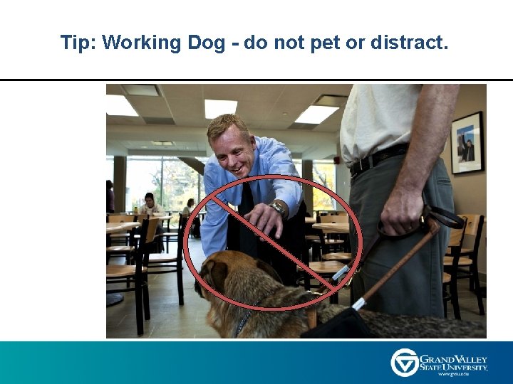 Tip: Working Dog - do not pet or distract. 