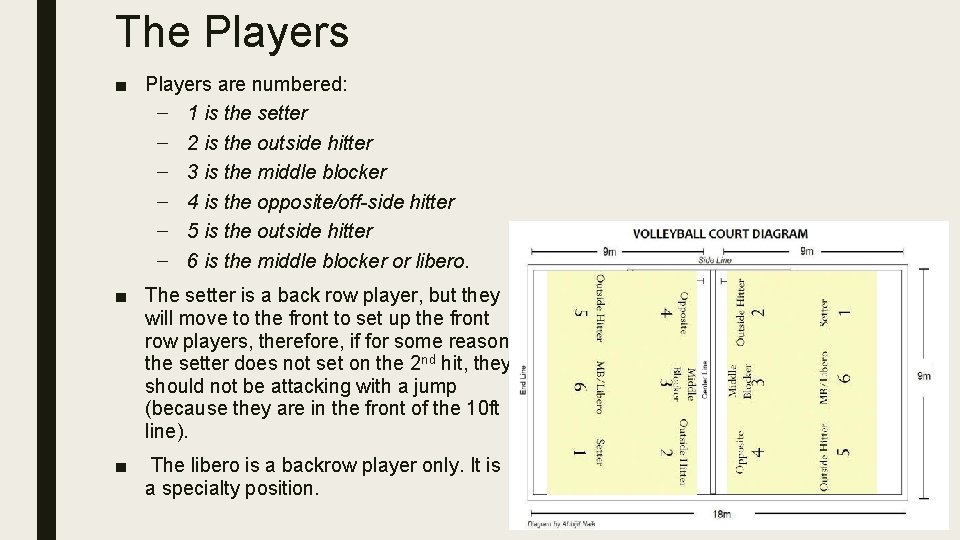The Players ■ Players are numbered: – 1 is the setter – 2 is