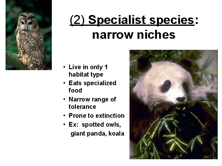 (2) Specialist species: narrow niches • Live in only 1 habitat type • Eats
