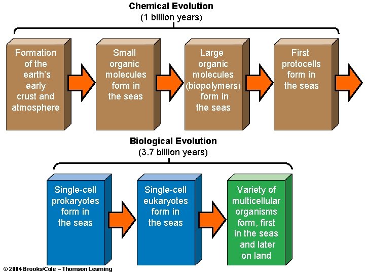 Chemical Evolution (1 billion years) Formation of the earth’s early crust and atmosphere Small