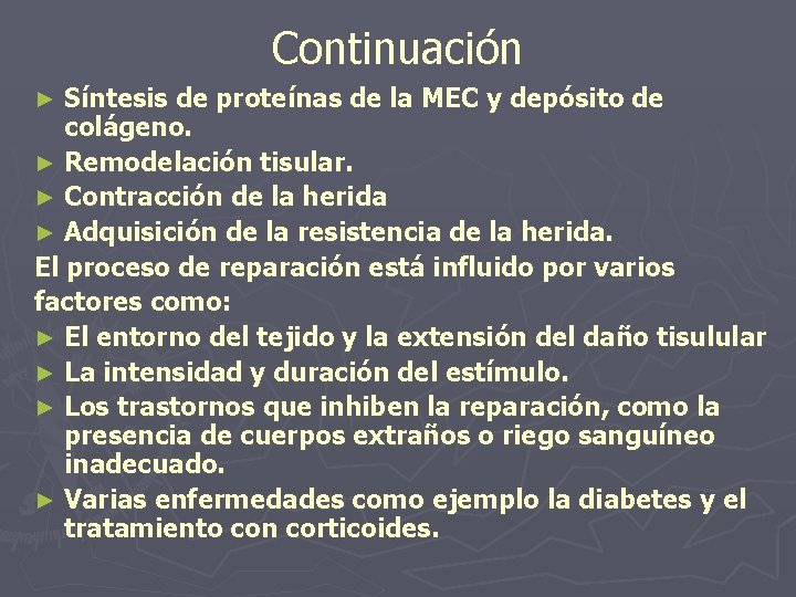 Continuación Síntesis de proteínas de la MEC y depósito de colágeno. ► Remodelación tisular.
