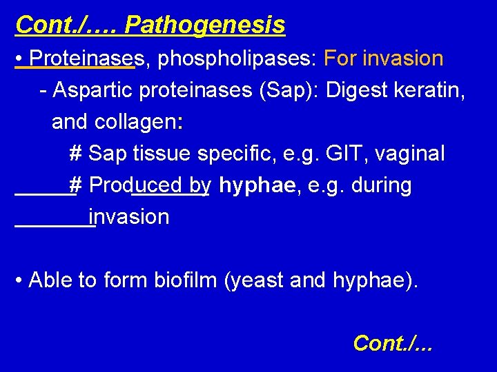 Cont. /…. Pathogenesis • Proteinases, phospholipases: For invasion - Aspartic proteinases (Sap): Digest keratin,