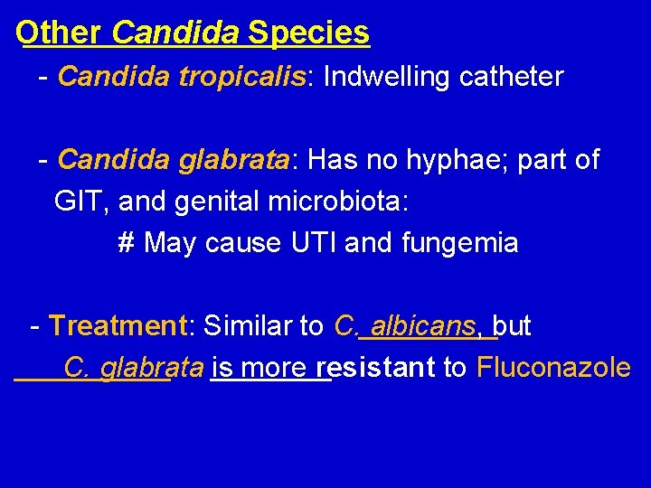 Other Candida Species - Candida tropicalis: Indwelling catheter - Candida glabrata: Has no hyphae;