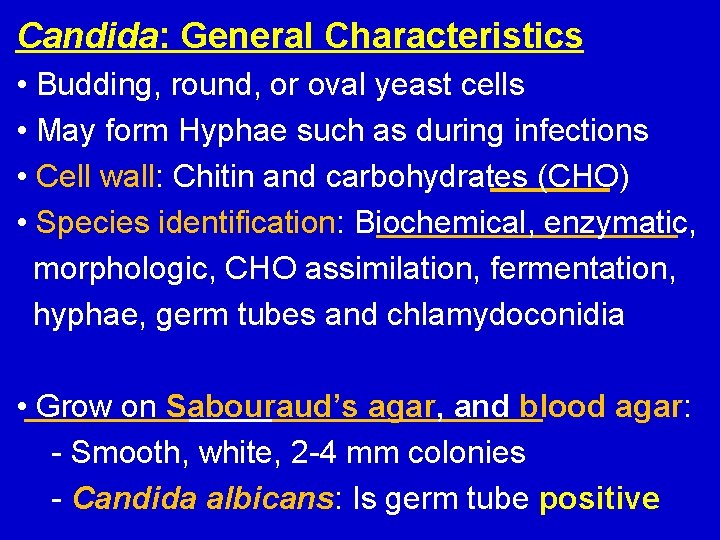 Candida: General Characteristics • Budding, round, or oval yeast cells • May form Hyphae