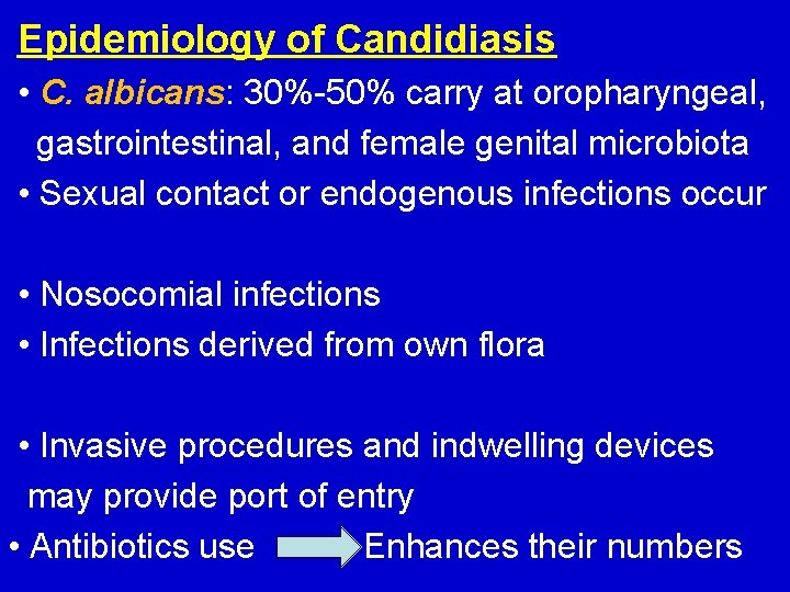 Epidemiology of Candidiasis • C. albicans: 30%-50% carry at oropharyngeal, gastrointestinal, and female genital