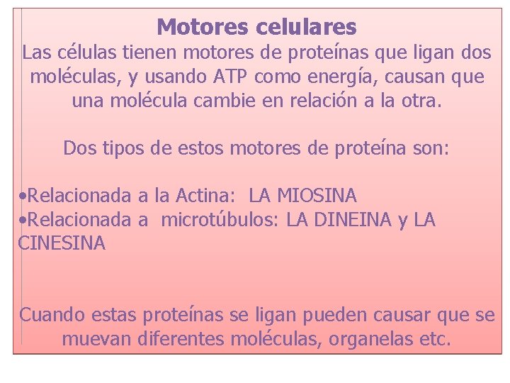 Motores celulares Las células tienen motores de proteínas que ligan dos moléculas, y usando