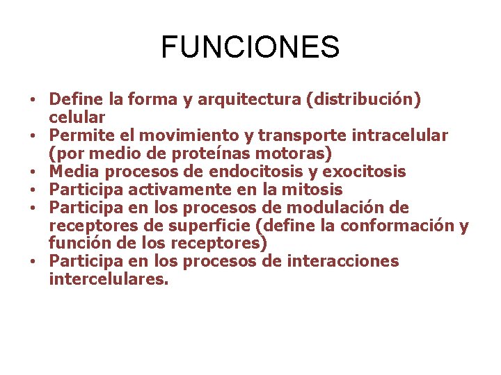 FUNCIONES • Define la forma y arquitectura (distribución) celular • Permite el movimiento y