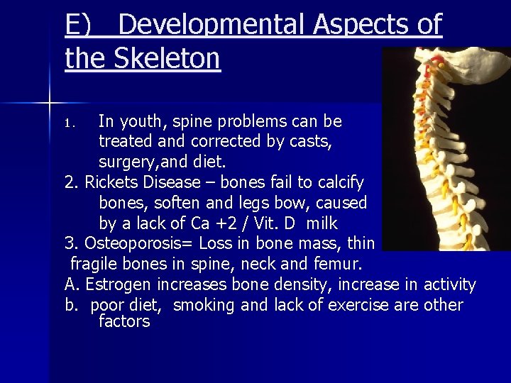 E) Developmental Aspects of the Skeleton In youth, spine problems can be treated and