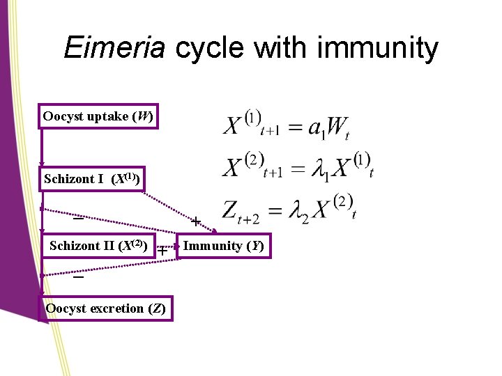 Eimeria cycle with immunity Oocyst uptake (W) Schizont I (X(1)) – Schizont II (X(2))