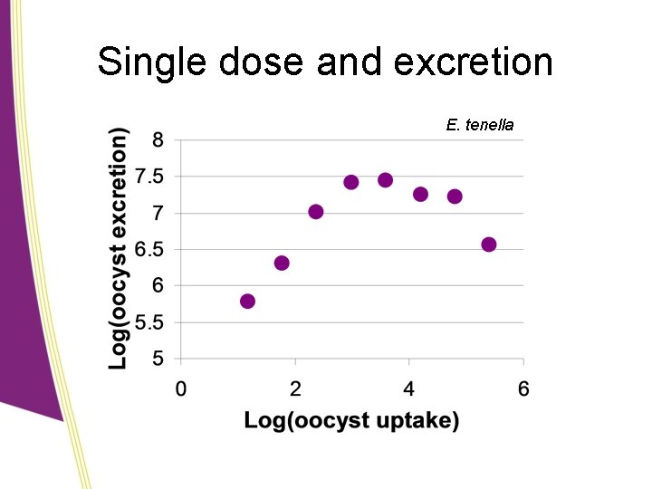 Single dose and excretion E. tenella 