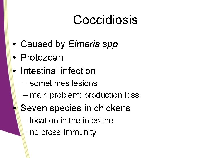 Coccidiosis • Caused by Eimeria spp • Protozoan • Intestinal infection – sometimes lesions