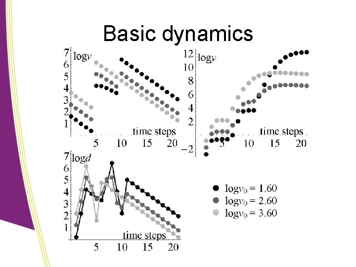 Basic dynamics 