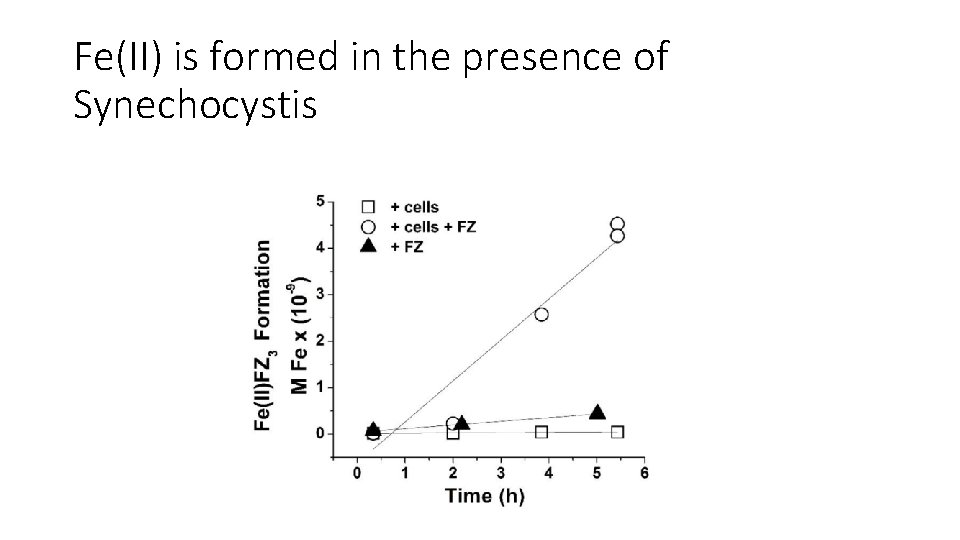 Fe(II) is formed in the presence of Synechocystis 