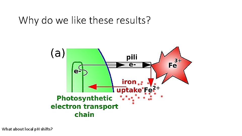 Why do we like these results? What about local p. H shifts? 