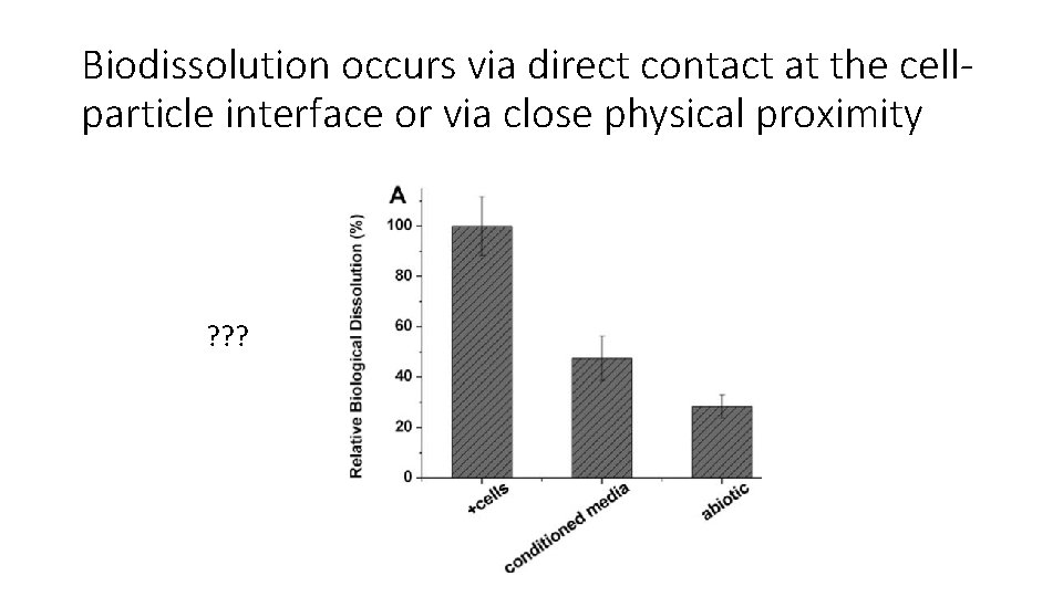 Biodissolution occurs via direct contact at the cellparticle interface or via close physical proximity