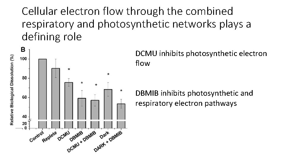 Cellular electron flow through the combined respiratory and photosynthetic networks plays a defining role