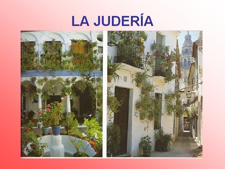 LA JUDERÍA 