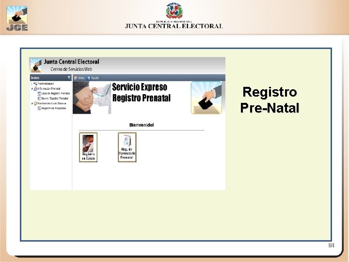 Registro Pre-Natal 84 