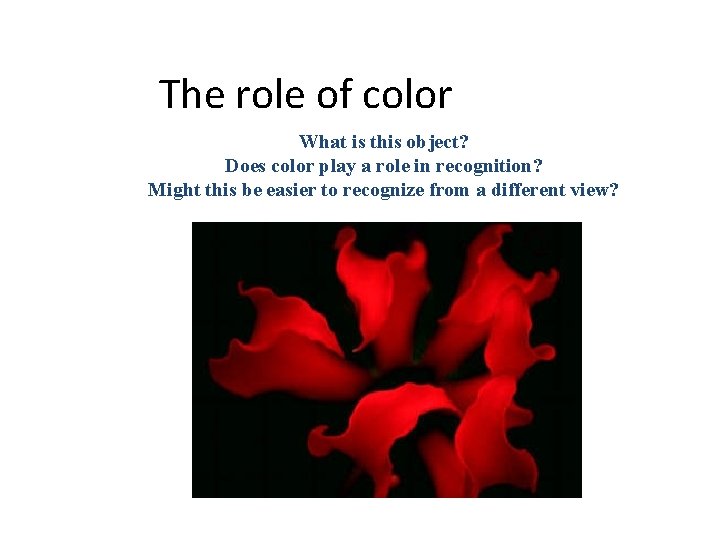 The role of color What is this object? Does color play a role in