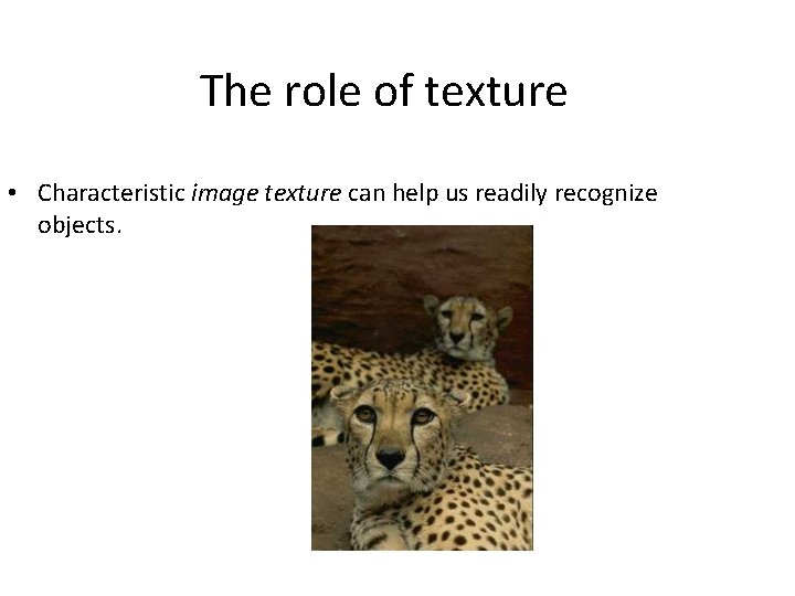 The role of texture • Characteristic image texture can help us readily recognize objects.