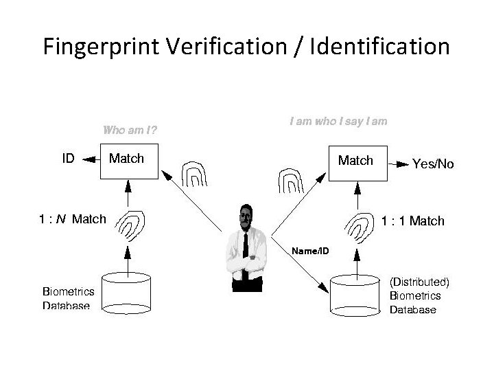 Fingerprint Verification / Identification 