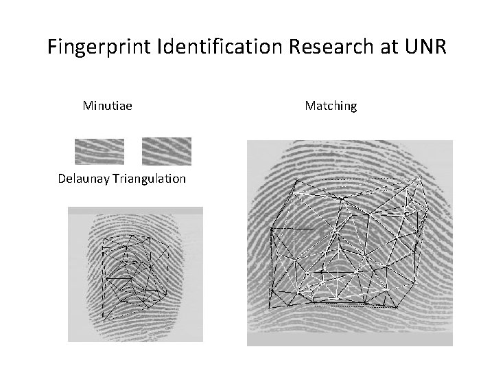 Fingerprint Identification Research at UNR Minutiae Delaunay Triangulation Matching 