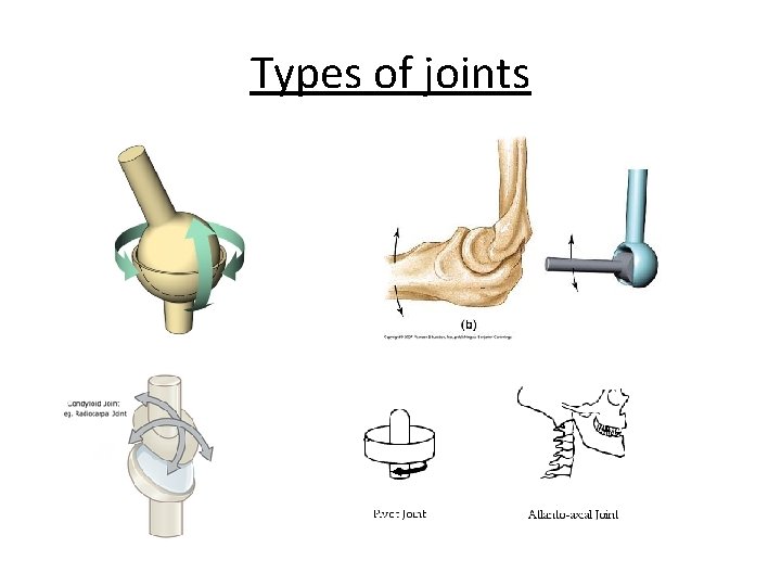 Types of joints 