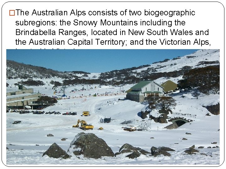 �The Australian Alps consists of two biogeographic subregions: the Snowy Mountains including the Brindabella
