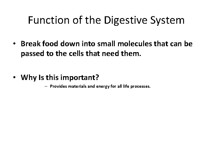 Function of the Digestive System • Break food down into small molecules that can