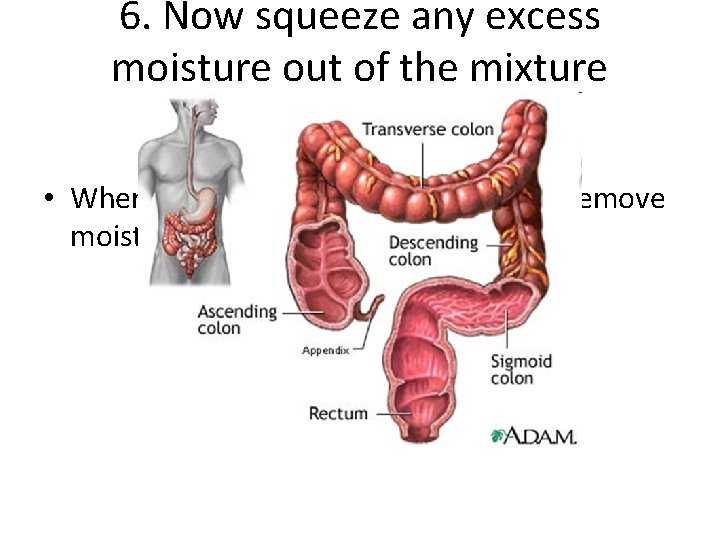 6. Now squeeze any excess moisture out of the mixture through the sock. •