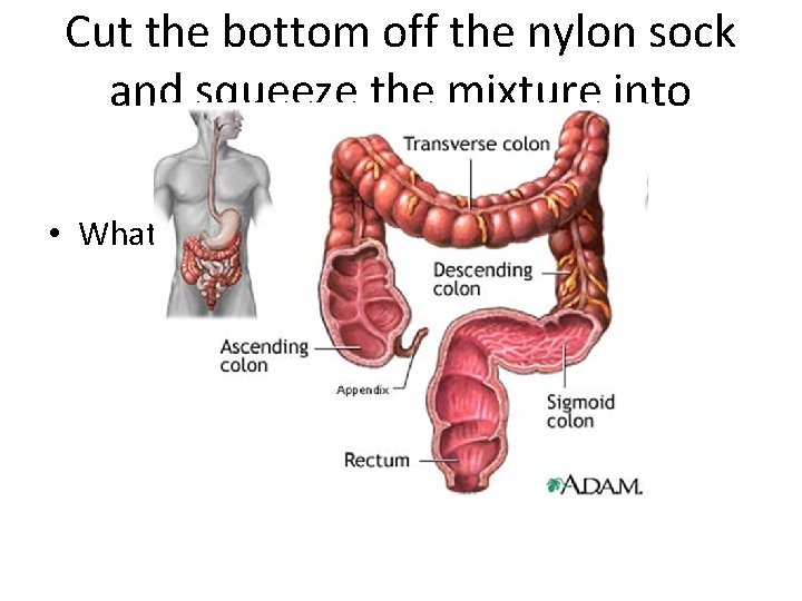 Cut the bottom off the nylon sock and squeeze the mixture into another bag.
