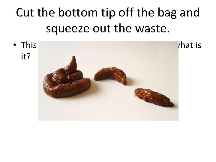 Cut the bottom tip off the bag and squeeze out the waste. • This