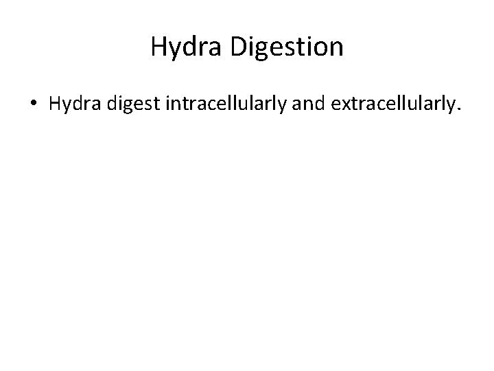 Hydra Digestion • Hydra digest intracellularly and extracellularly. 