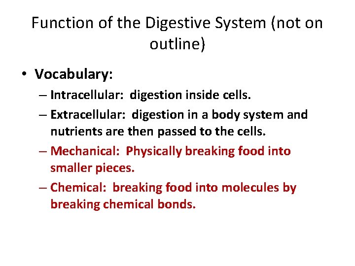 Function of the Digestive System (not on outline) • Vocabulary: – Intracellular: digestion inside