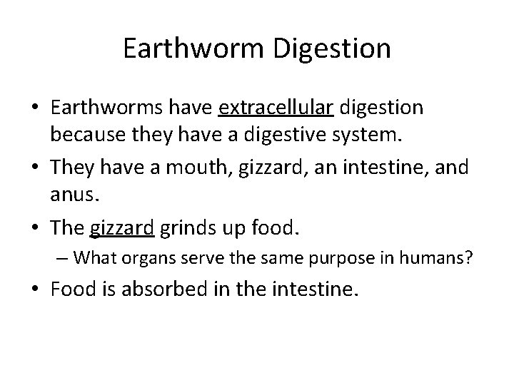 Earthworm Digestion • Earthworms have extracellular digestion because they have a digestive system. •