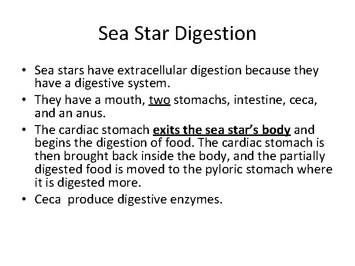 Sea Star Digestion • Sea stars have extracellular digestion because they have a digestive