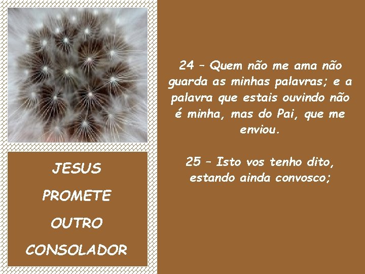 24 – Quem não me ama não guarda as minhas palavras; e a palavra