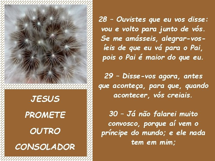 28 – Ouvistes que eu vos disse: vou e volto para junto de vós.