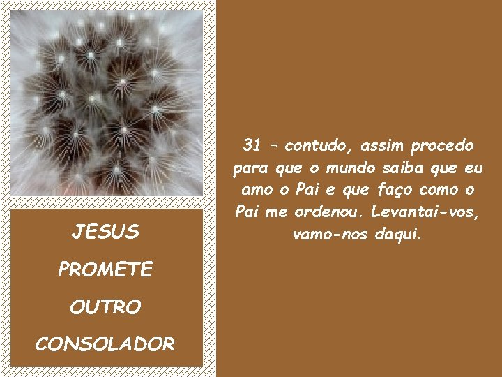 JESUS PROMETE OUTRO CONSOLADOR 31 – contudo, assim procedo para que o mundo saiba