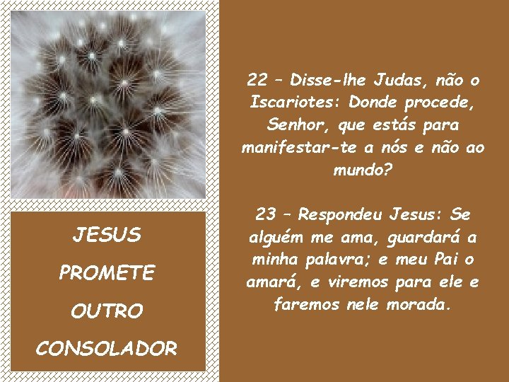 22 – Disse-lhe Judas, não o Iscariotes: Donde procede, Senhor, que estás para manifestar-te
