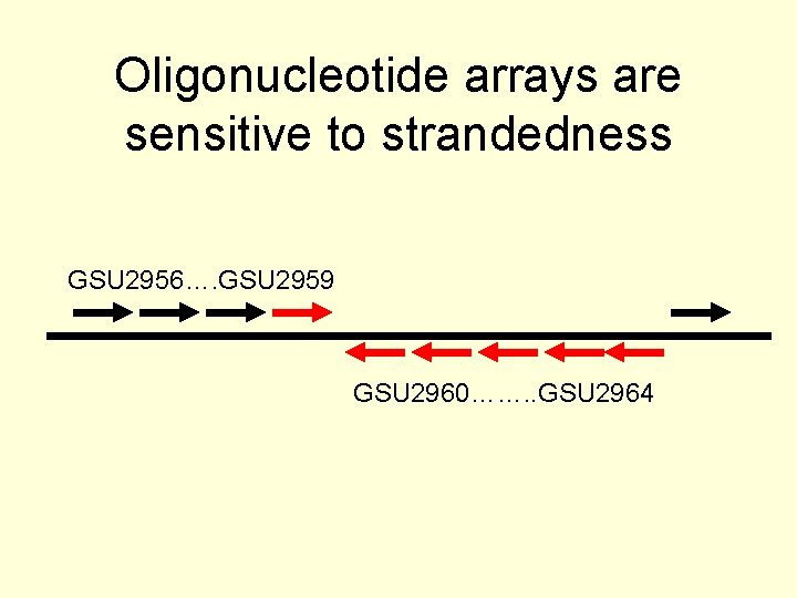 Oligonucleotide arrays are sensitive to strandedness GSU 2956…. GSU 2959 GSU 2960……. . GSU