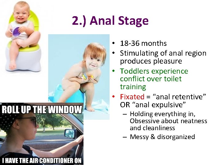 2. ) Anal Stage • 18 -36 months • Stimulating of anal region produces