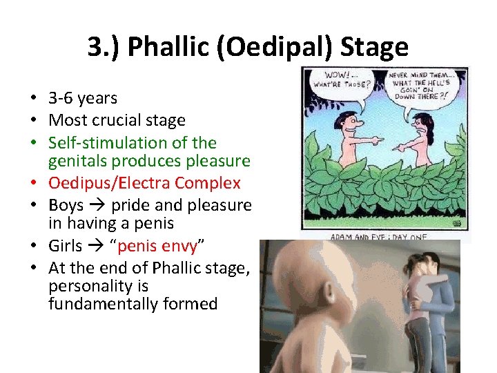 3. ) Phallic (Oedipal) Stage • 3 -6 years • Most crucial stage •