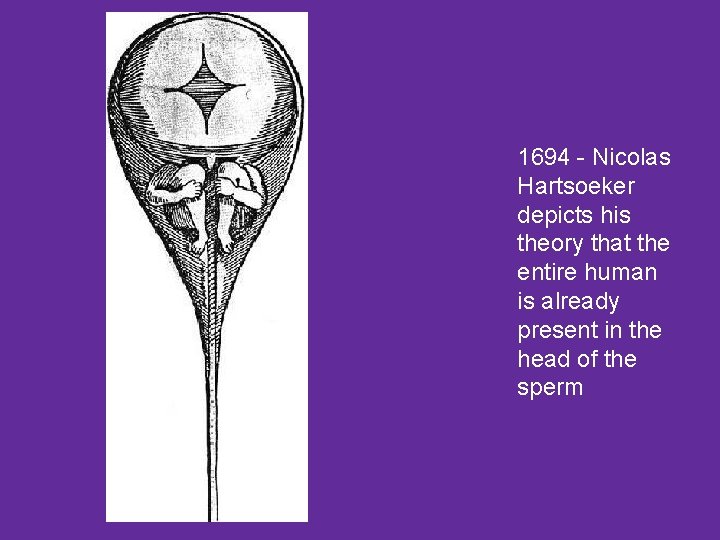 1694 - Nicolas Hartsoeker depicts his theory that the entire human is already present