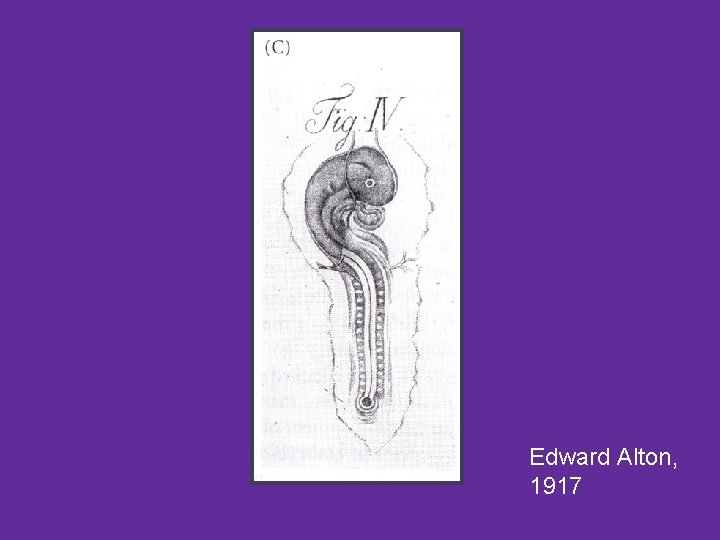 Edward Alton, 1917 