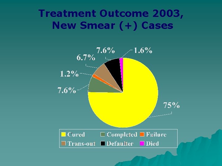 Treatment Outcome 2003, New Smear (+) Cases 