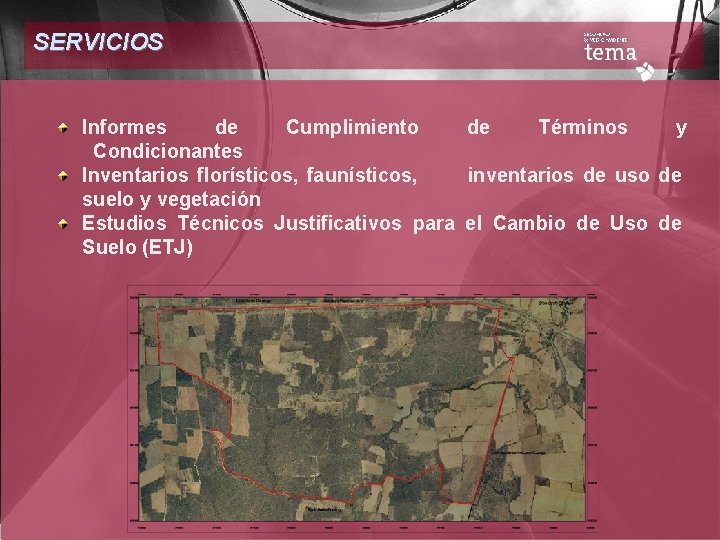 SERVICIOS Informes de Cumplimiento de Términos y Condicionantes Inventarios florísticos, faunísticos, inventarios de uso