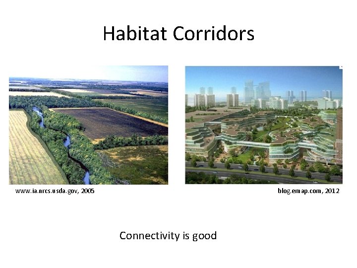 Habitat Corridors www. ia. nrcs. usda. gov, 2005 blog. emap. com, 2012 Connectivity is