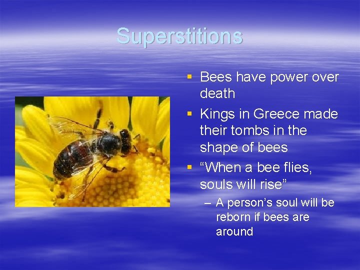 Superstitions § Bees have power over death § Kings in Greece made their tombs